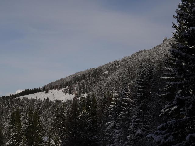 Appartements Belles Challes - Les Arcs 1800