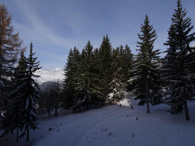 Appartements Belles Challes - Les Arcs 1800