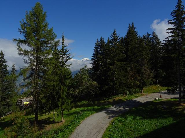 Appartements Belles Challes - Les Arcs 1800