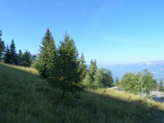 Appartements Grand Arbois - Les Arcs 1800