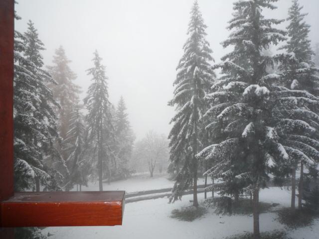 Appartements Lauzieres - Les Arcs 1800