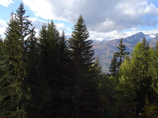 Appartements Miravidi - Les Arcs 1800