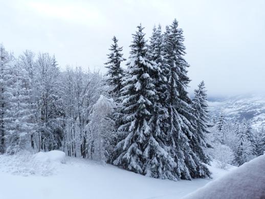 Appartements Nova - Les Arcs 1800