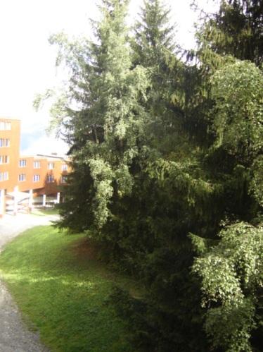 Appartements Nova - Les Arcs 1800