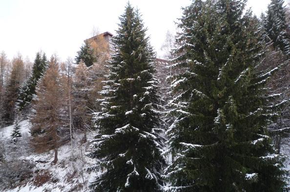 Appartements Nova - Les Arcs 1800