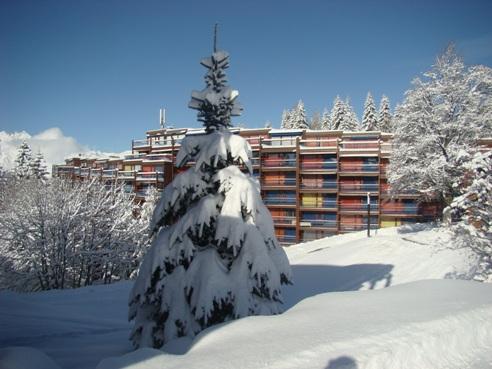 Appartements Nova - Les Arcs 1800