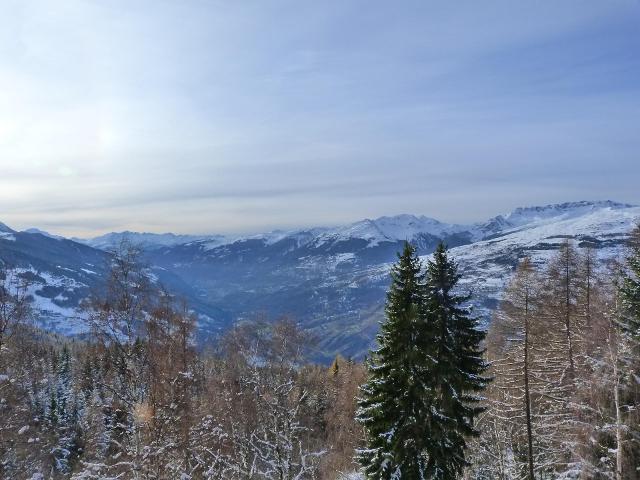 Appartements Arandelieres - Les Arcs 1800