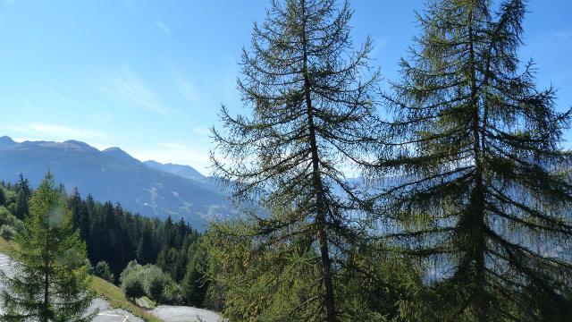 Appartements Ruitor Arc 1800 - Les Arcs 1800