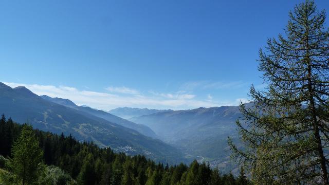 Appartements Ruitor Arc 1800 - Les Arcs 1800