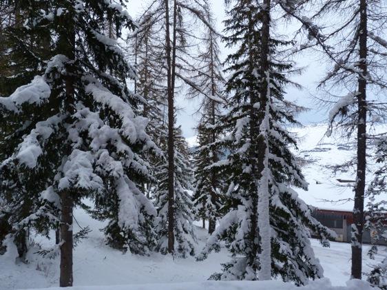 Appartements Aiguille Grive Bat Iii - Les Arcs 1800