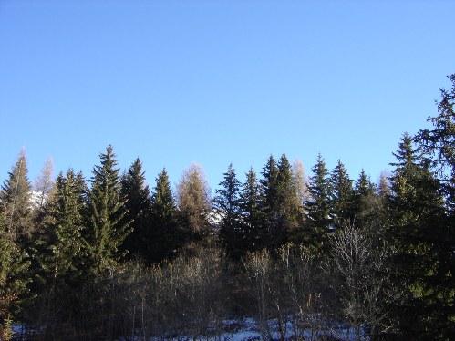 Appartements Aiguille Grive Bat Ii - Les Arcs 1800