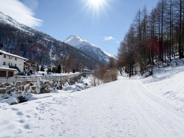 3 pièces 6 personnes CH3905.703.1 - Saas - Almagell