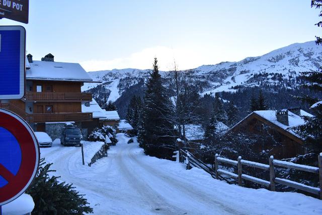 Appartement Perce Neige D'en Haut MRB510-001 - Méribel Centre 1600 