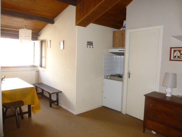 Appartements Olympe. - Les Deux Alpes 1800