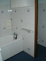 Appartements Myrtilles. - Les Deux Alpes Venosc