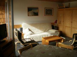 Appartements les Bleuets. - Les Deux Alpes Soleil