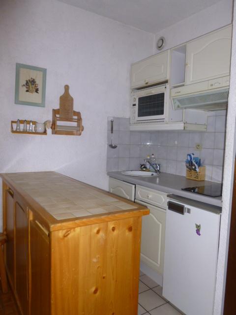 Appartements Lou Veno. - Les Deux Alpes Centre