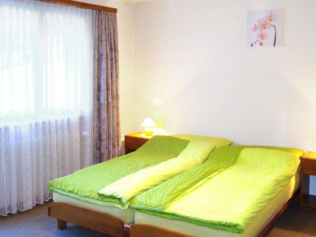 12 pièces 22 personnes CH3901.707.4 - Saas - Grund