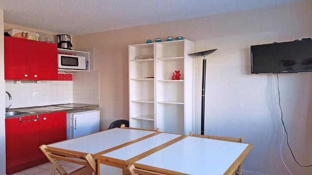 Appartement Pendine 2 P2101 - Puy Saint Vincent