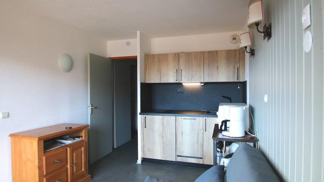 Appartement Parc Aux Etoiles A103PAE - Puy Saint Vincent