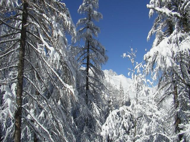 Appartement Parc Aux Etoiles C005PAE - Puy Saint Vincent