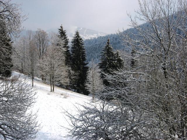 Appartement Ferme Du Lavay - Les Gets