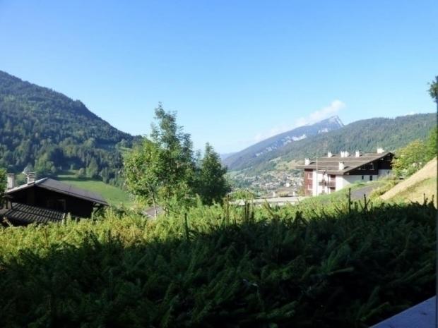 VIOLETTES - Le Grand Bornand