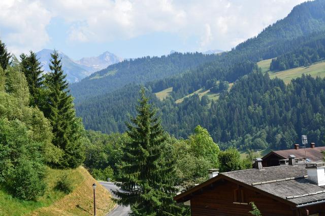 Appartement Millepertuis B GB550-024 - Le Grand Bornand