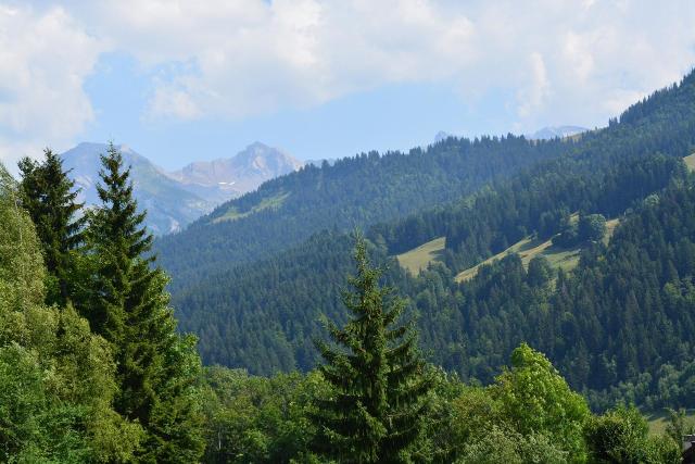 Appartement Millepertuis B GB550-024 - Le Grand Bornand