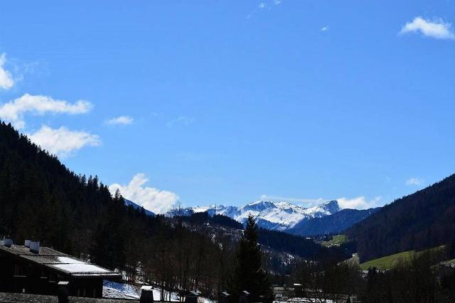 Appartement Sherpa GB670-A1 - Le Grand Bornand