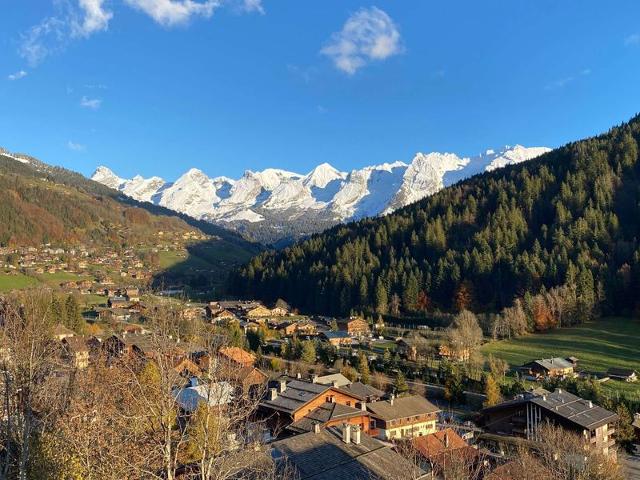 Appartement Erable GB430-1E - Le Grand Bornand