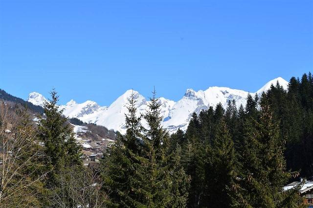 Appartement Alpina B GB050-011 - Le Grand Bornand