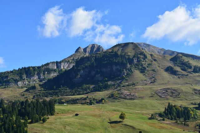 Appartement Chanteneige 1 CH090-2A - Le Grand Bornand