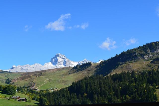 Appartement Chanteneige 1 CH090-2A - Le Grand Bornand