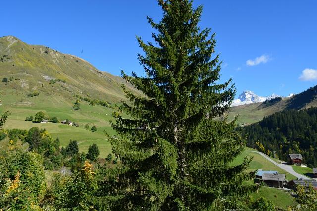 Appartement Chanteneige 1 CH090-2A - Le Grand Bornand