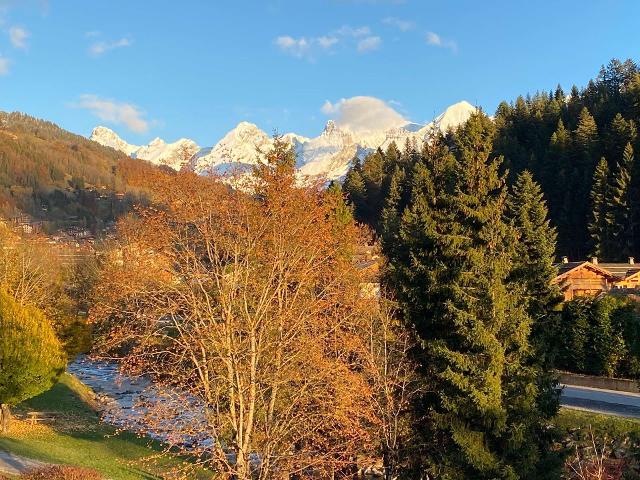 Appartement Alpina B GB050-015 - Le Grand Bornand