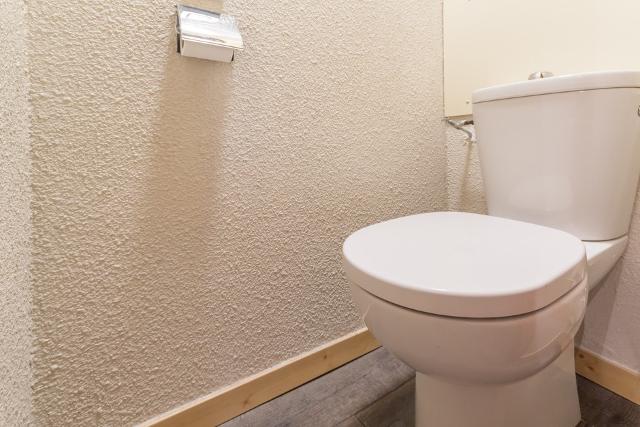 Appartements Les Pentes - Plagne - Les Coches