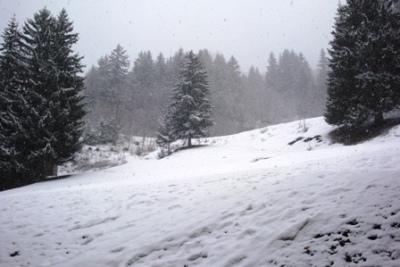 Appartements Pierrer G - Valmorel