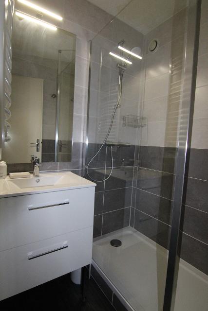 Appartements MENANDIERE - Alpe d'Huez