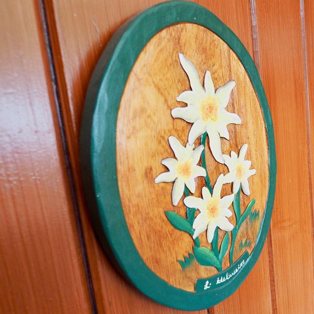 Appartements CHAVIERE - Valfréjus