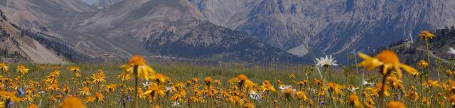 Appartement La Chamoisiere cham A211 - Montgenèvre