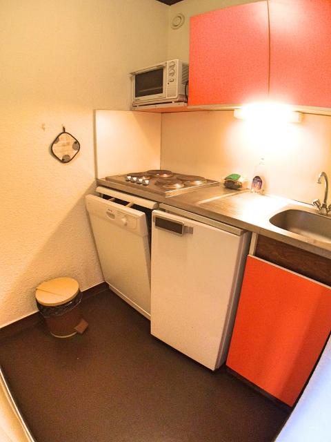 Appartement Fibieres VRS520-0406 - Vars