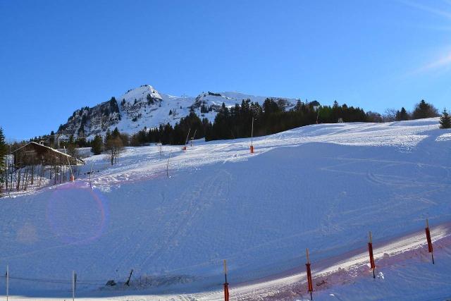 Appartement Castel Des Neiges A CH070-3XA - Le Grand Bornand