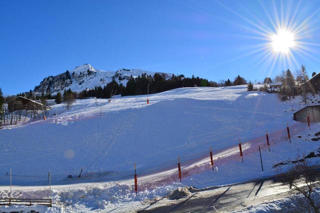 Appartement Castel Des Neiges A CH070-3XA - Le Grand Bornand