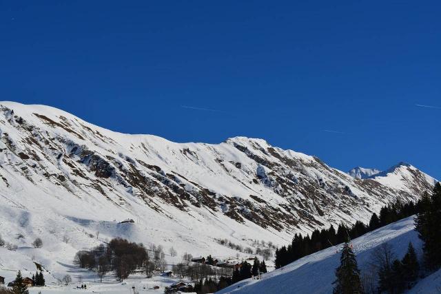 Appartement Castel Des Neiges A CH070-3XA - Le Grand Bornand