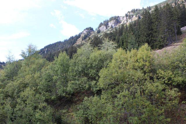 Appartements ANDROMEDE - Flaine Forêt 1700