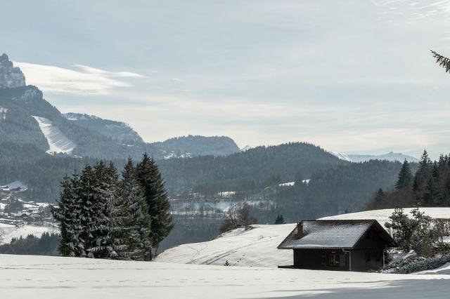 Appartements PANDA - Les Carroz d'Araches