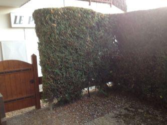 Appartements Pernant - Les Carroz d'Araches