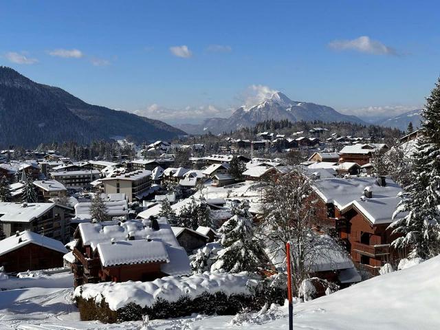 Appartements PLATE - Les Carroz d'Araches