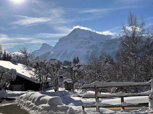 Appartements PLATE - Les Carroz d'Araches